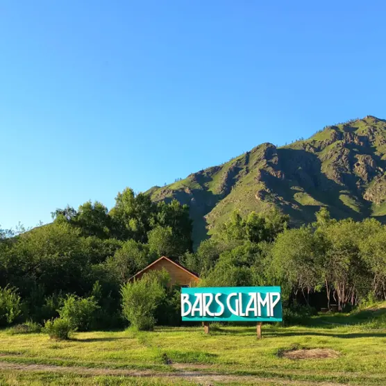 Bars glamp