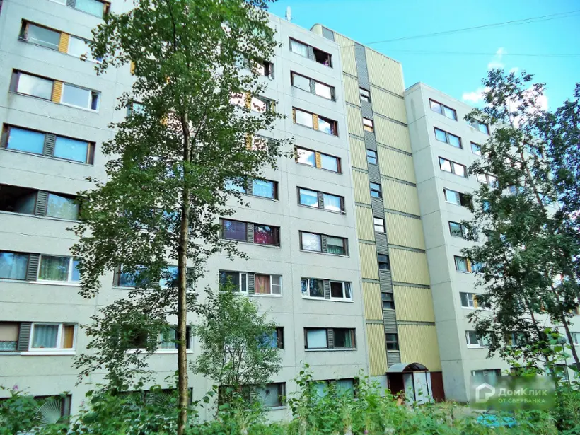 Хостел "Хаски"