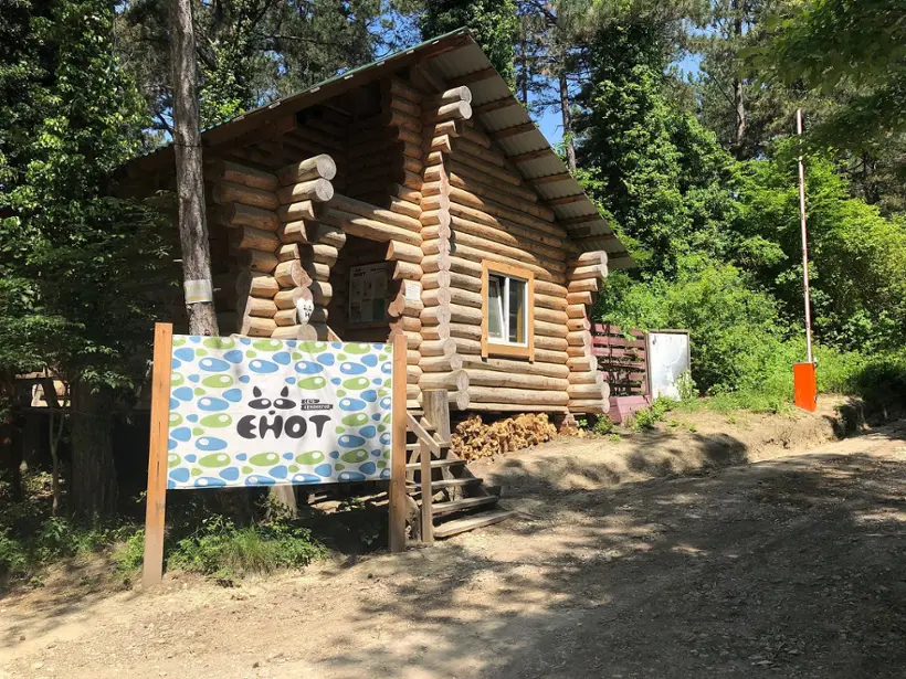 Кемпинг Енот Архипо-Осиповка