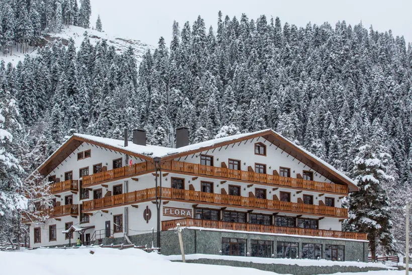 Отель «FLORA boutique-hotel&spa» Индивидуальный предприниматель Арапов Александр Евгеньевич