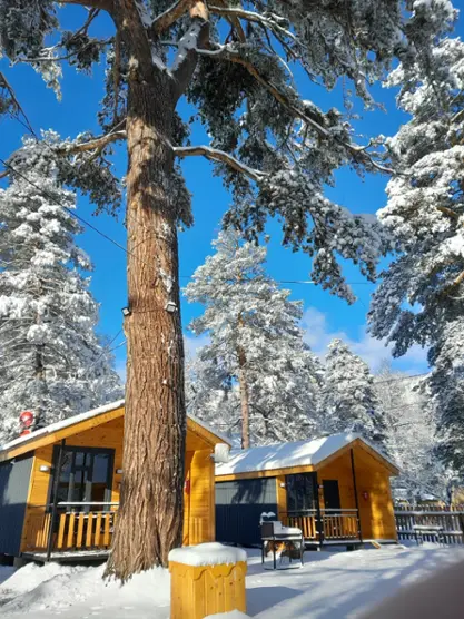 Solu Chalet