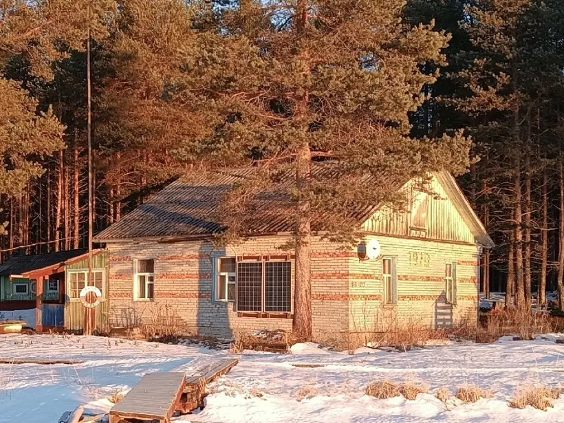 Кордон