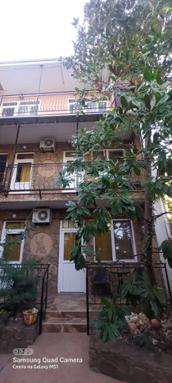 "Рыжий кот"