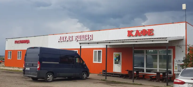 Дикая Вишня