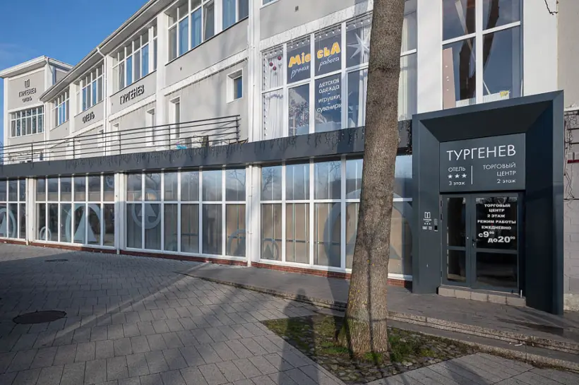 Отель "Тургенев"