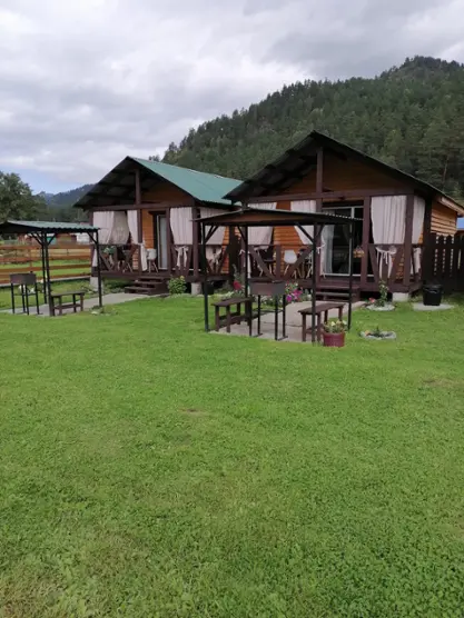 СИБИРСКИЙ КЕДР