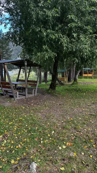 Бриллиант Алтая