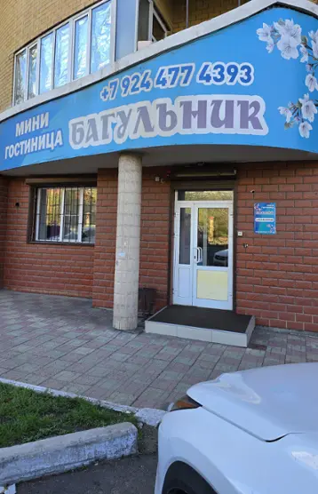 Мини гостиница Багульник