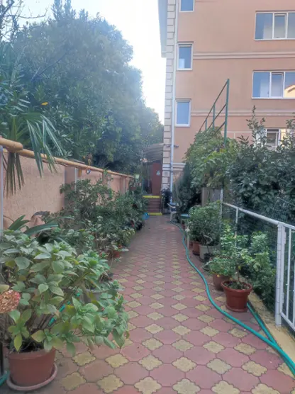 Амелия