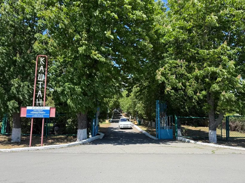 "Каштан"
