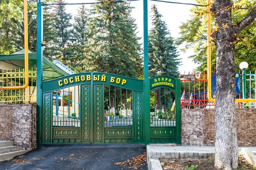 ЧУ «ДОЛ «Сосновый бор» корп.В, корп.Г, корп.Д