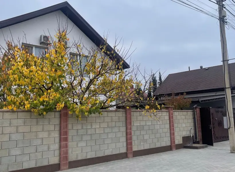 "Кипарис на Каламитской"