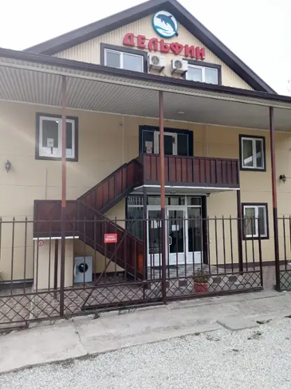 дельфин