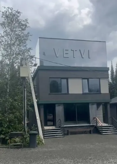 ВЕТВИ