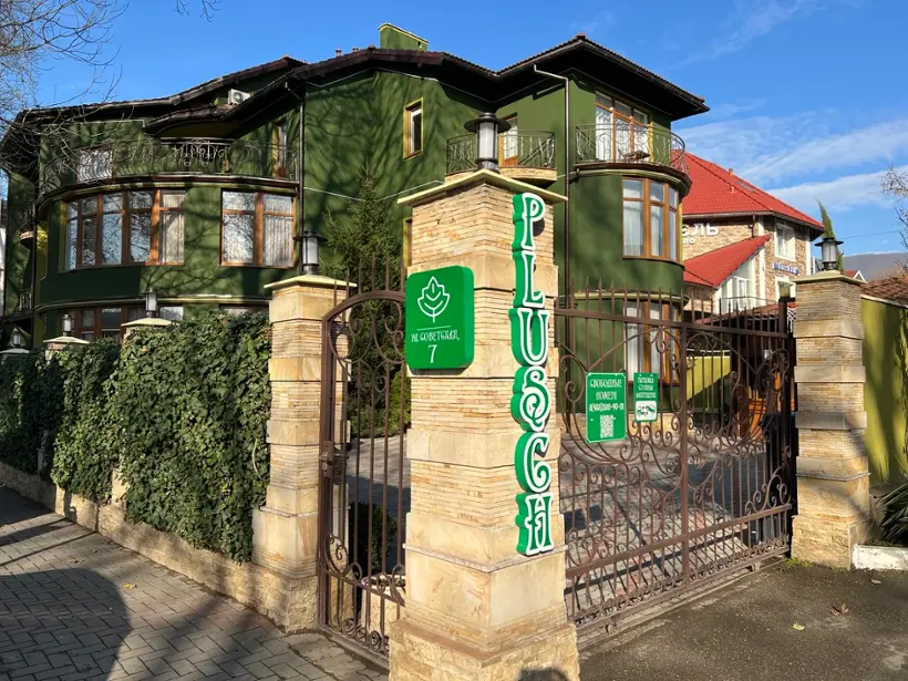 Плющ