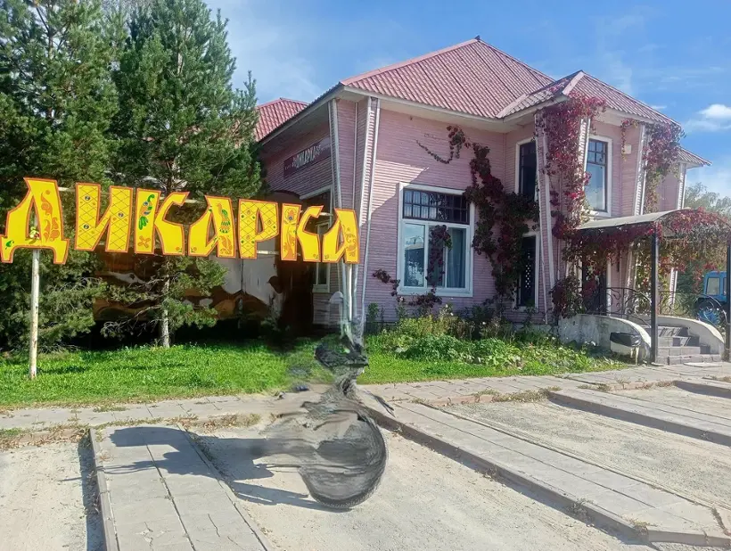 Дикарка