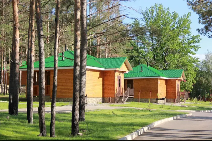 Отель Лесной