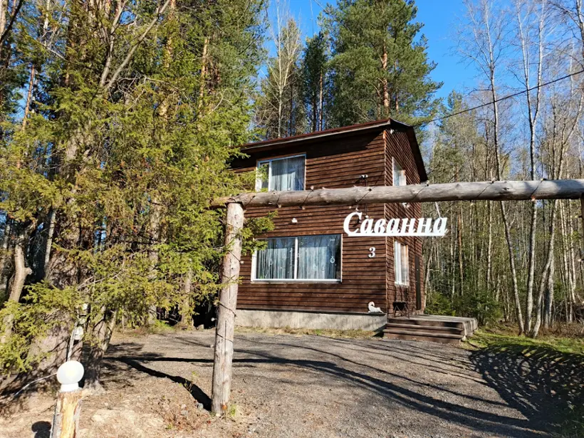 Саванна3
