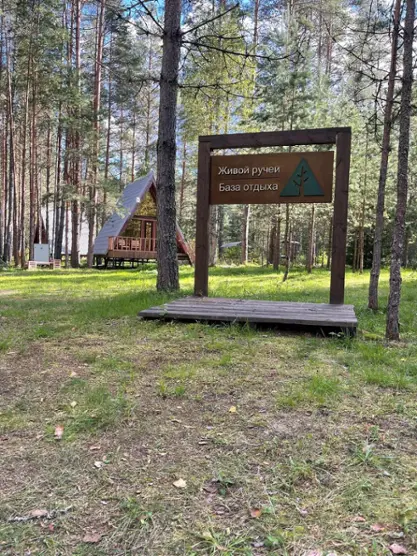 Живой Ручей