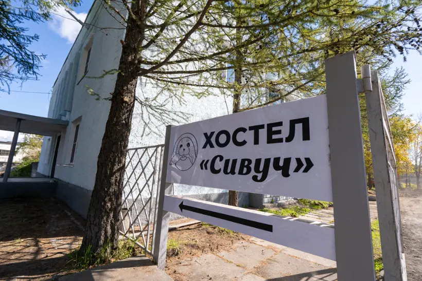 Хостел "Сивуч"