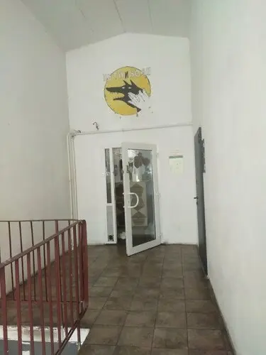 Петя и волк на стрелке ВО