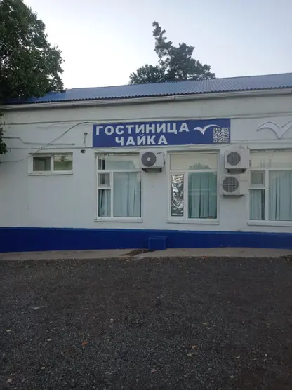 "ЧАЙКА"
