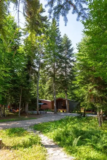 База отдыха Forest House Resort