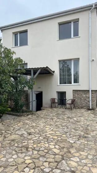 Весёлые медузы