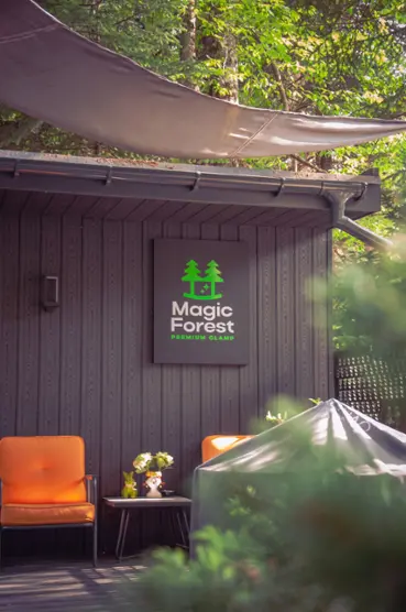 Премиум глэмпинг Magic Forest