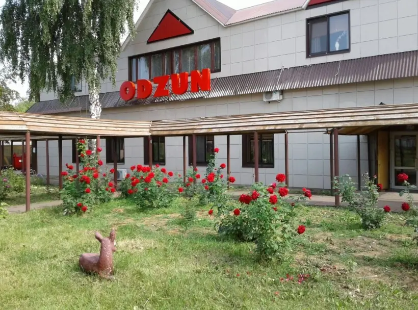 Odzun