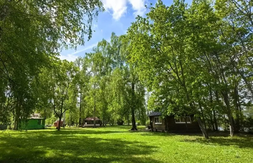 Турбаза в Петровке  "Зеленая роща" 