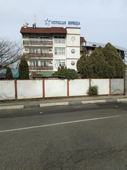 Морская звезда