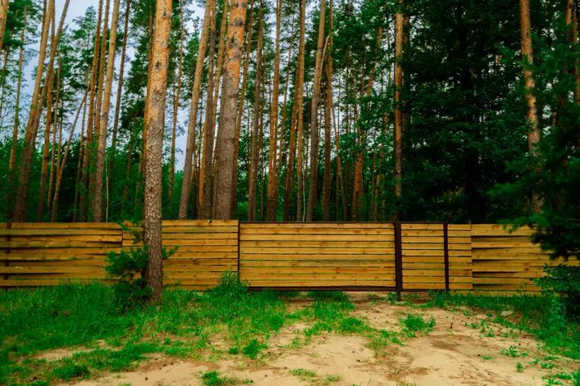 Лесная база "Папоротник"