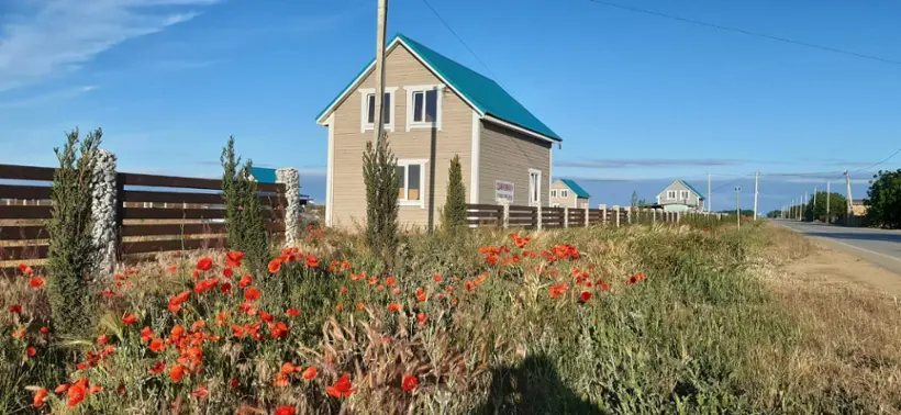 Виноградная лоза