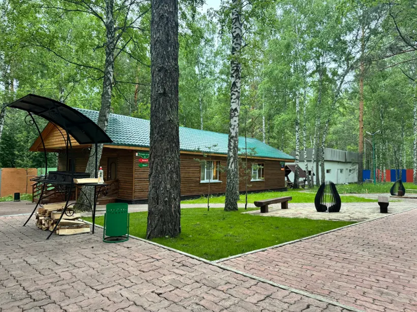 Белая сова