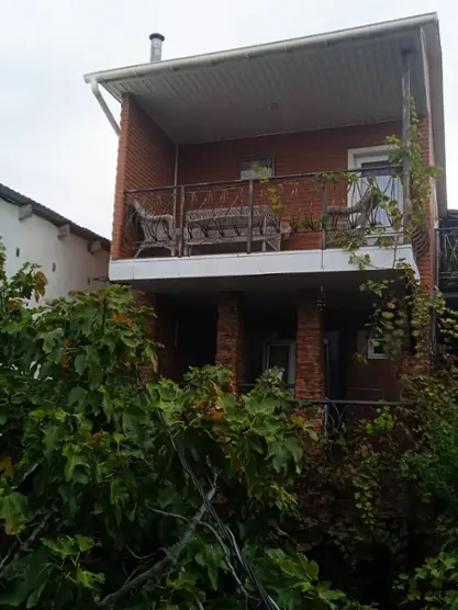 Маргаритка