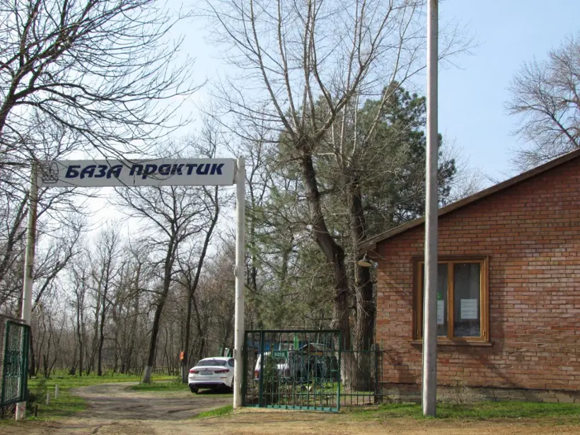 База практик