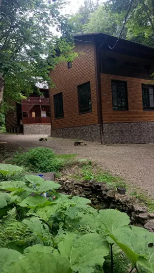 База отдыха «Благодать» ИП Сороколатова Л.Б.