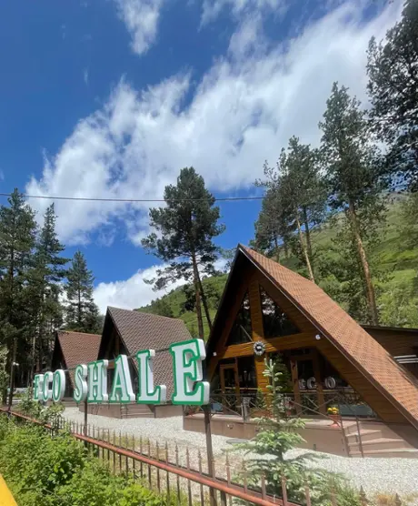 «ГОСТИНИЦА «ECO-SHALE» 