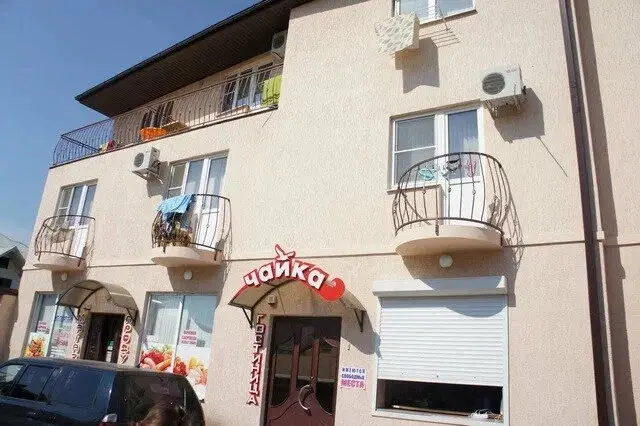 Морская чайка Ливингстон