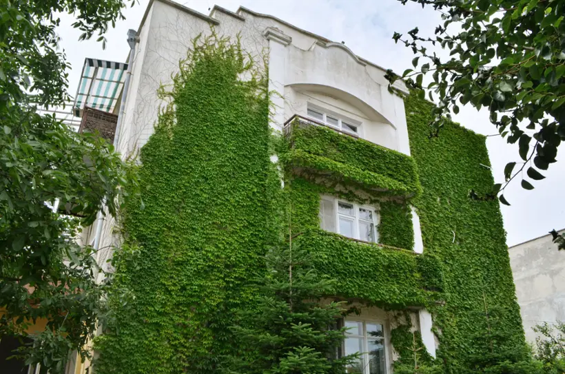 Летний