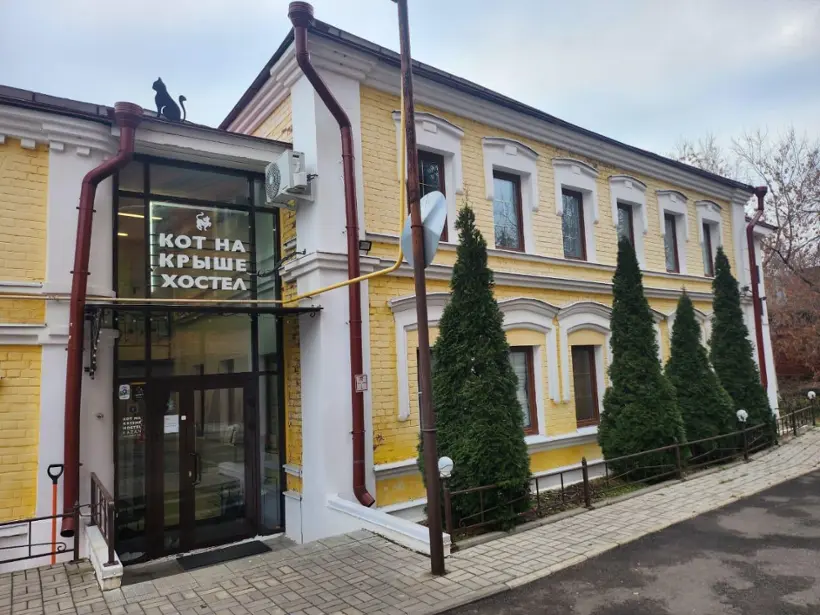 Кот на крыше