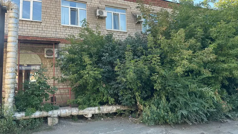 Гостиница "Белль" ИП Скорова Е.В.