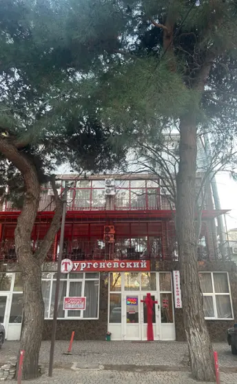 Тургеньевский
