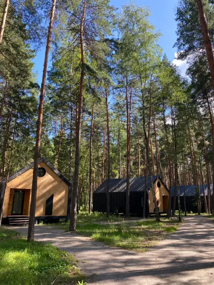 Лесной клуб БОРНИК