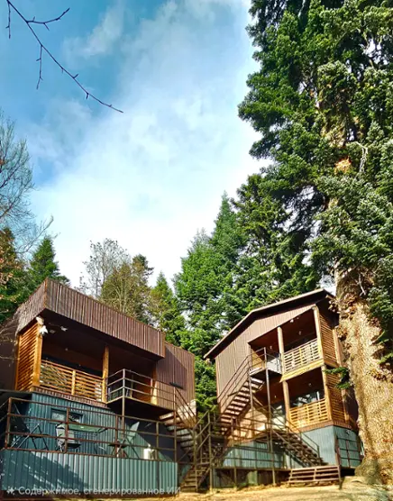Fairy fir ECO Retreat